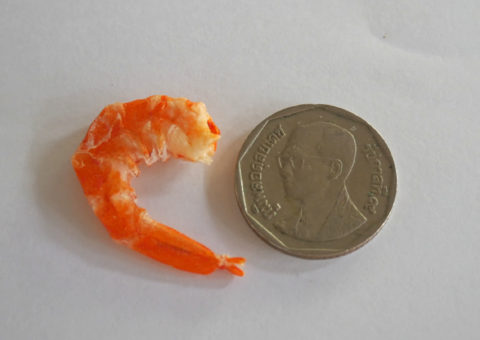 กุ้งแห้งเมืองขลุงจันทบุรีไซส์ใหญ่