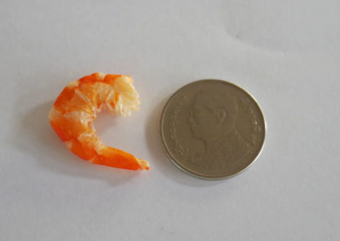 กุ้งแห้งเมืองขลุงจันทบุรีไซส์เล็ก